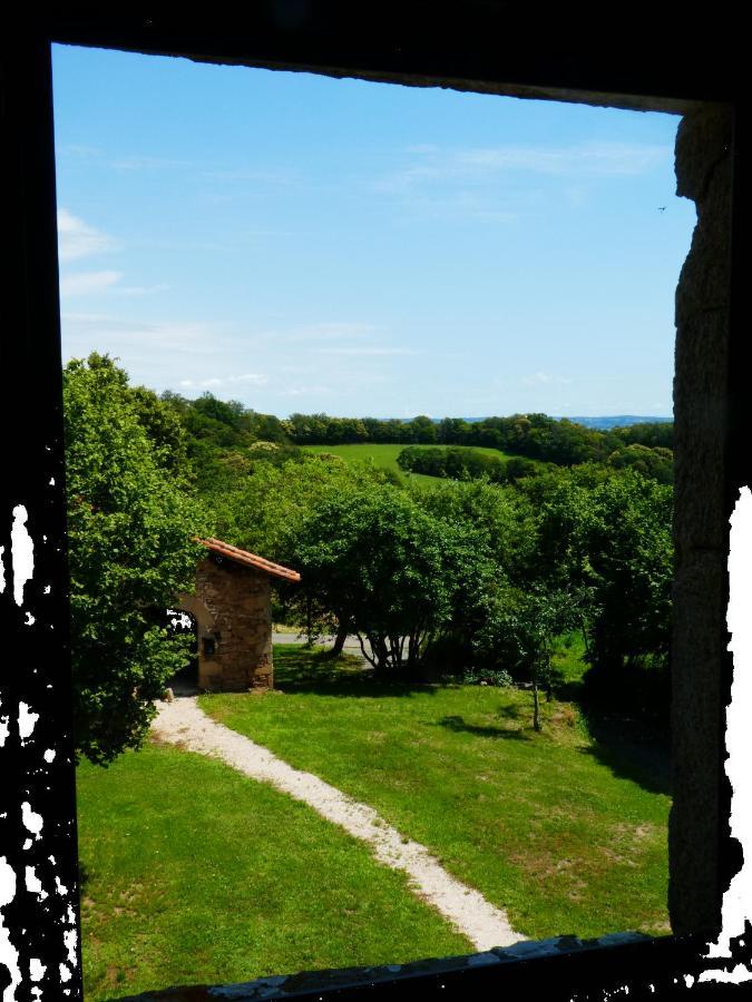 Saint-Cirgues  Grande Maison De Caractere En Pierres -Superbe Vue מראה חיצוני תמונה